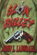 Cover: Slow Bullet - BookVoice Publishing
