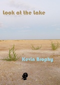 Cover: Look at the Lake - Puncher and Wattmann