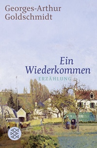 Abbildung von: Ein Wiederkommen - Fischer Taschenbuch