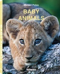 Cover: Baby Animals - teNeues Verlag ein Imprint des Gestalten Verlags
