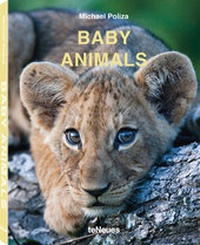 Enlarge image Cover: Baby Animals - teNeues Verlag ein Imprint des Gestalten Verlags