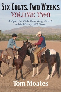 Enlarge image Cover: Six Colts, Two Weeks, Volume Two - Spinning Sevens Press