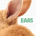 Cover: Ears - Flowerpot Press