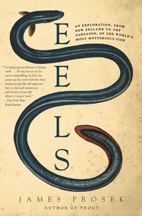 Enlarge image Cover: Eels - HarperCollins