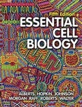 Cover: Essential Cell Biology - WW Norton & Co