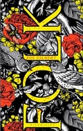 Cover: Folk - Bloomsbury Publishing PLC