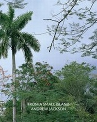 Enlarge image Cover: From a Small Island - Mac Birmingham