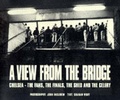 Cover: View from the Bridge - More Than Ninety Minutes