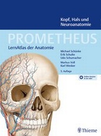 Bild vergrößern Bild: PROMETHEUS Kopf, Hals und Neuroanatomie - Thieme