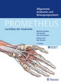 Bild vergrößern Bild: PROMETHEUS Allgemeine Anatomie und Bewegungssystem - Thieme