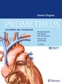 Bild: PROMETHEUS Innere Organe - Thieme