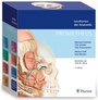 Cover: PROMETHEUS LernKarten der Anatomie - Thieme