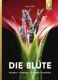 Enlarge image Cover: Die Blüte - Verlag Eugen Ulmer