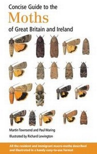 Enlarge image Cover: Concise Guide to the Moths of Great Britain and Ireland - British Wildlife Publishing Ltd