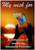Cover: My Wish for You - Amen