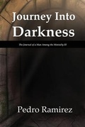 Cover: Journey Into Darkness - Dolphin Star