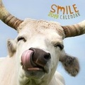Cover: Smile 2019 Wall Calendar - Maverick Arts Publishing