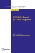 Cover: L'effectivit&eacute; du droit de l'Union europ&eacute;enne - Bruylant