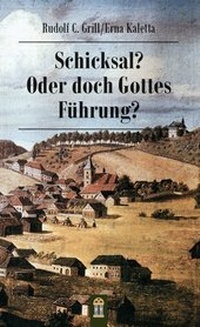 Abbildung von: Schicksal? Oder doch Gottes Führung? - Patrimonium