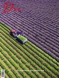 Cover: Die Provence neu entdecken - Du Kulturmedien