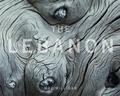 Cover: The Lebanon - Idlewild