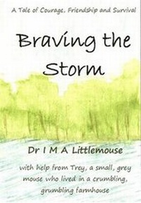 Enlarge image Cover: Braving the Storm - back-foot bunny