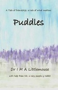 Cover: Puddles - Qais Ltd