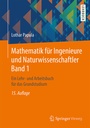 Bild: Mathematik für Ingenieure und Naturwissenschaftler Band 1 - Springer Vieweg