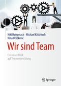 Cover: Wir sind Team - Springer