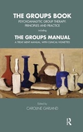 Cover: The Groups Book - Routledge