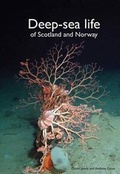Cover: Deep-Sea Life of Scotland and Norway - Ophiura