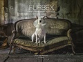 Cover: Furbex - Ammonite Press