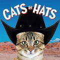 Cover: Cats in Hats - Ammonite Press
