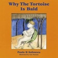 Cover: Why the Tortoise is Bald - AMLAP PUBLISHING