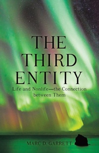 Enlarge image Cover: The Third Entity - LIFERICH