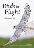 Cover: Birds In Flight - Amherst Media