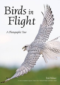 Enlarge image Cover: Birds In Flight - Amherst Media