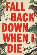 Cover: Fall Back Down When I Die - Little, Brown & Company