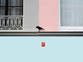 Cover: Bloomberg New Contemporaries 2011 - New Contemporaries (1988) Ltd