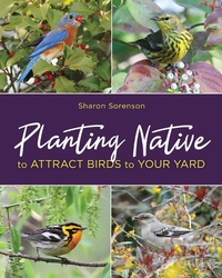 Abbildung von: Planting Native to Attract Birds to Your Yard - Stackpole Books