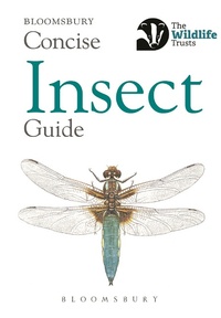 Bild vergrößern Bild: Concise Insect Guide - Bloomsbury Wildlife