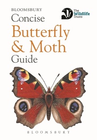 Enlarge image Cover: Concise Butterfly and Moth Guide - Bloomsbury Wildlife