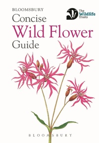 Enlarge image Cover: Concise Wild Flower Guide - Bloomsbury Wildlife