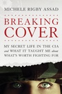 Cover: Breaking Cover - Tyndale Momentum