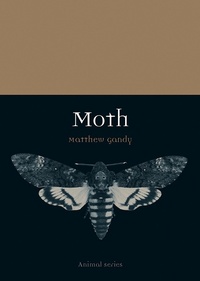 Enlarge image Cover: Moth - Reaktion Books