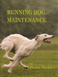 Enlarge image Cover: Running Dog Maintenance - Skycat Publications