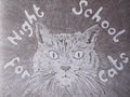 Cover: Night School for Cats - Hutte Press
