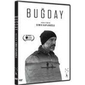 Cover: Bugday - As Sanat