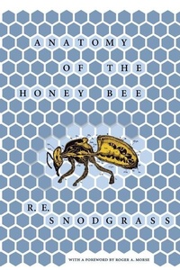 Abbildung von: Anatomy of the Honey Bee - Comstock Publishing Associates