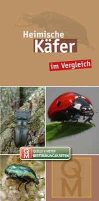 Abbildung von: Heimische Käfer - Quelle & Meyer